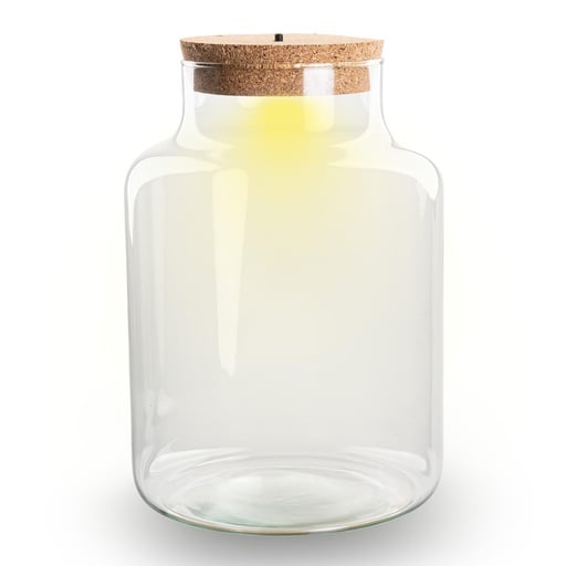 "Flaschengarten mit LED-Licht im Korken - Little Milky Terrarium mit Licht Höhe ca. 24,5 cm - Flaschengarten image"