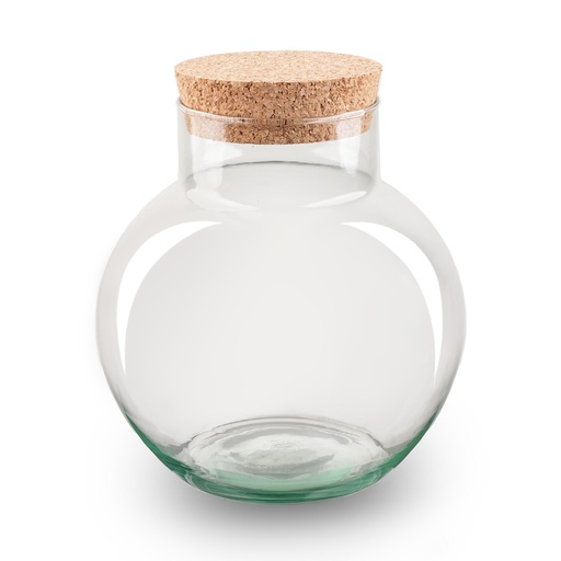 "Bottle garden terrarium with cork - Noah - ↑ 20 cm image"