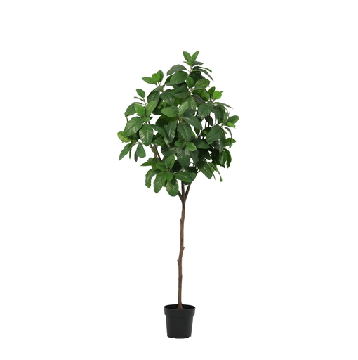 "Künstliche Magnolie - 190 cm image"