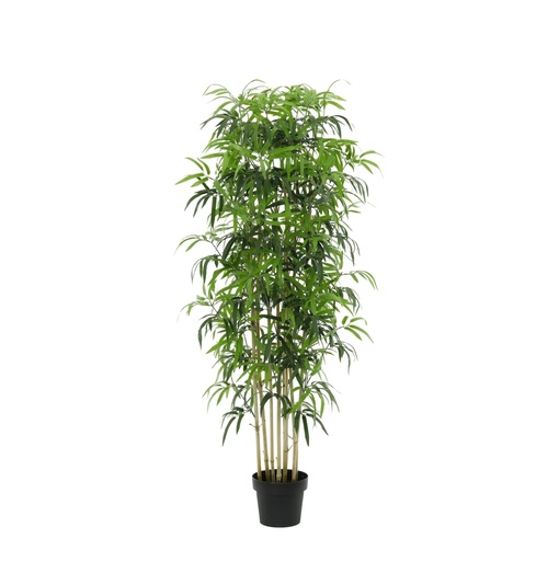 "Künstlicher Bambus - 150 cm image"