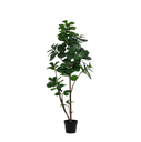 Künstlicher Ficus lyrata verzweigt - 150cm