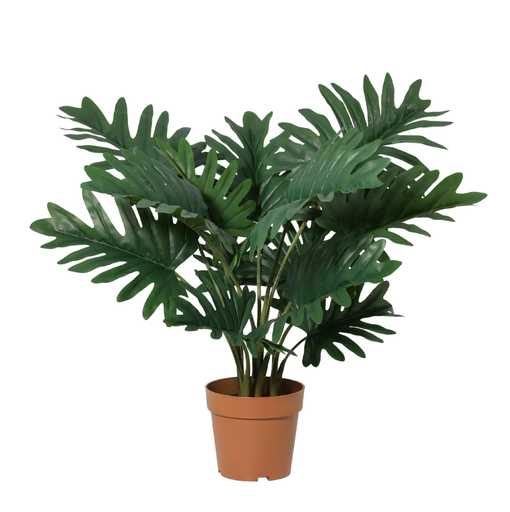 "Künstlicher Philodendron Selloum - 70 cm image"