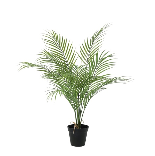 "Künstliche Kentia-Palme - 65 cm image"