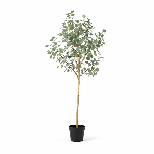 "KÜNSTLICHER Eukalyptus - 180 cm image"