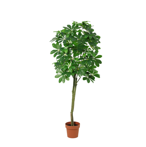 "KÜNSTLICHE Pachira Aquatica - 150 cm image"