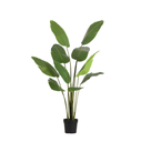 KÜNSTLICHE Strelitzia Nicolai - 180 cm