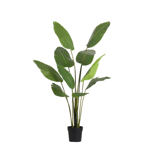 "KÜNSTLICHE Strelitzia Nicolai - 180 cm image"