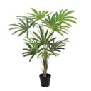 Künstliche Rhapis Excelsa - 120 cm