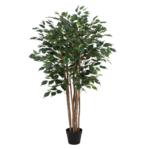 "Künstlicher Ficus Benjamina - 150cm image"