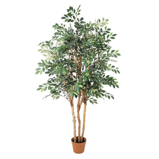"Künstlicher Ficus Exotica - 150cm image"