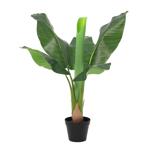 "Kunst-Bananenpflanze Musa - 80 cm image"