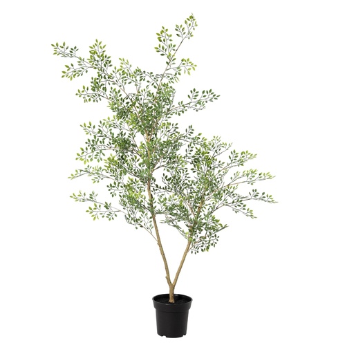 "Künstliche Bucida - 71cm image"