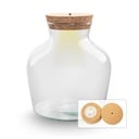 Terrariumflasche mit Beleuchtung - Little Joe - Ø 20 cm ↑ 22 cm