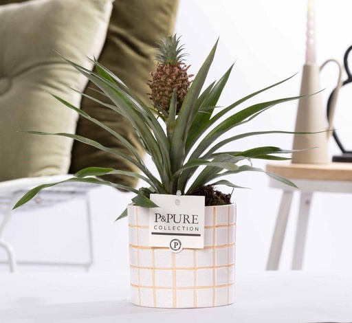 "Ananas Rosita In P&PURE Tirza Ceramics - Ø12cm - ↕35cm image"