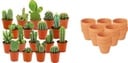 Mini Kakteen Mix - 18 Stück - Ø 8,1 cm - Höhe: 5-10 cm - Terrakottatöpfe