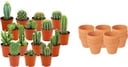 Mini Kakteen Mix - 15 Stück - Ø 8,1 cm - Höhe: 5-10 cm - Terrakottatöpfe