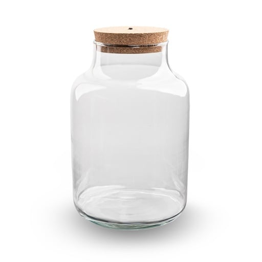 "Terrarium Flasche mit Beleuchtung - Milchig - Ø 21 cm Höhe ca. 30 cm image"