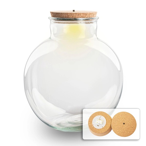 "Terrarium fles met (LED) kurk - Bolder Bob - Ø 30 cm ↑ 31 cm - Met LED-kurk image"