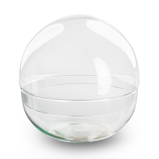 "Terrarium bolglas tweedelig - Dome - Ø 20 cm ↑ 20 cm image"