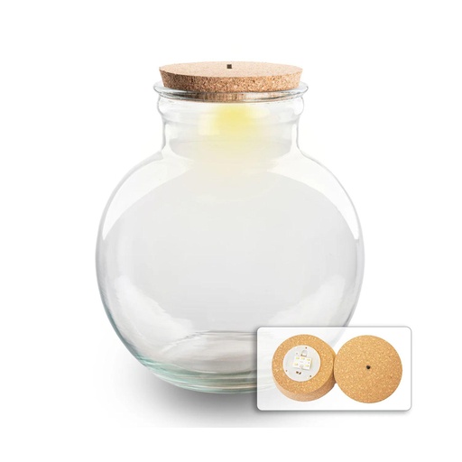 "Terrarium fles (met) verlichting - Teddy - Ø 25 cm ↑ 26,5 cm - Met LED-kurk image"