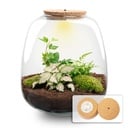 Pflanzen Terrarium - Emma - DIY kit - ↑ 25 cm - Ø 23 cm - Hedera Pink
