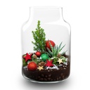 Frosty Weihnachten Terrarium - Pflanzen Terrarium DIY kit Christmas - - Ø 17 cm ↑ 25 cm