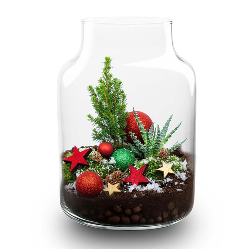 "Frosty Weihnachten Terrarium - Pflanzen Terrarium DIY kit Christmas - - Ø 17 cm Höhe ca. 25 cm image"