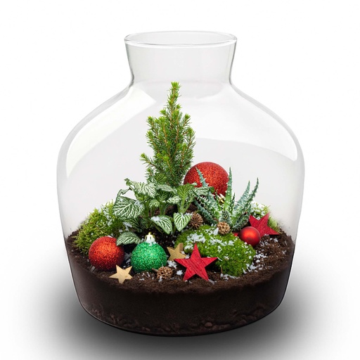 "Holly Christmas Terrarium – Flaschengarten DIY-Set – Ø 29 cm ↑ 30 image"