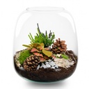 Lametta Winter Terrarium - Flaschengarten DIY-Set - Ø 19 cm ↑ 20 cm