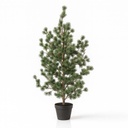 Kiefer (Cedar Pine) 80 cm – Kunstpflanze im Topf