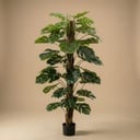 Monstera am Stamm 150 cm - Kunstpflanze