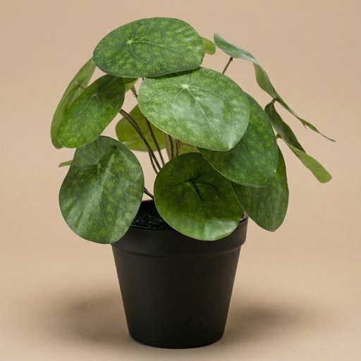 "Pilea Busch 25 cm im schwarzen Topf - Kunstpflanze image"