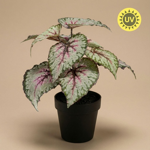 "Begonia - 26 cm im Topf - Kunstpflanze - Künstliche Pflanze - UV - Innen & Außen image"