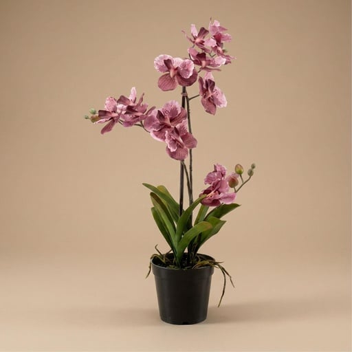 "Orchidee Vanda kunstplant 60 cm - Oudroze - In pot - Artificial plant image"