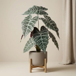 Alocasia-Busch im Topf, 40 cm – Kunstpflanze