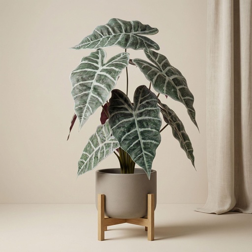 "Alocasia Busch im Topf 40 cm - Kunstpflanze image"