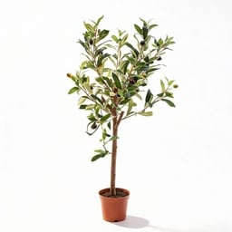 Olivenbaum im Topf 65cm – Kunstpflanze - Kunstpflanze