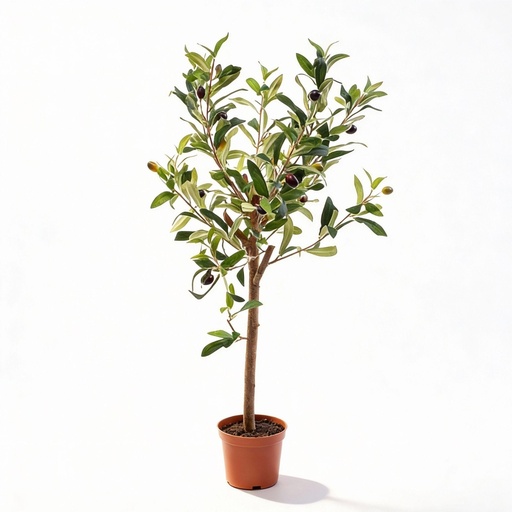 "Olivenbaum im Topf 65cm – Kunstpflanze - Kunstpflanze image"