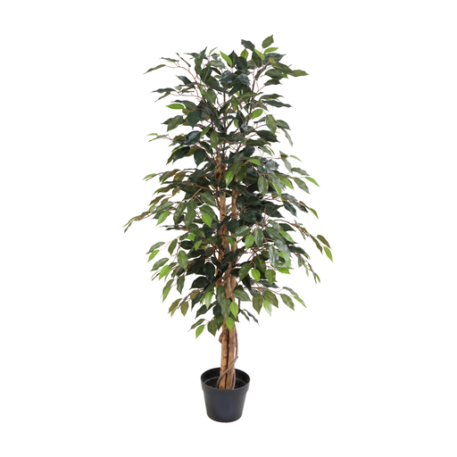 "Künstlicher Ficus Benjamina - 130 cm image"