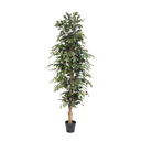 Künstlicher Ficus Benjamina - 205 cm
