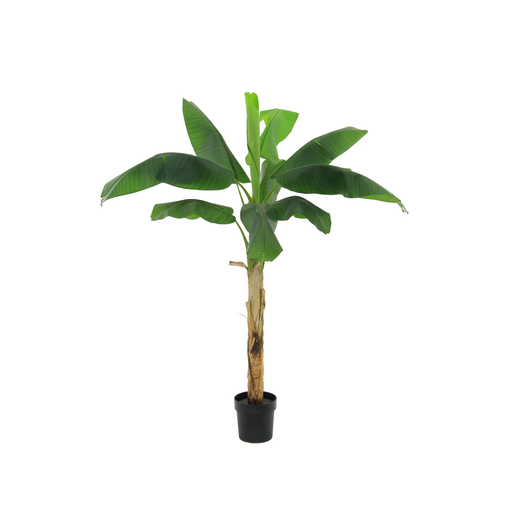 "Künstliche Bananenpflanze Musa - 180cm image"