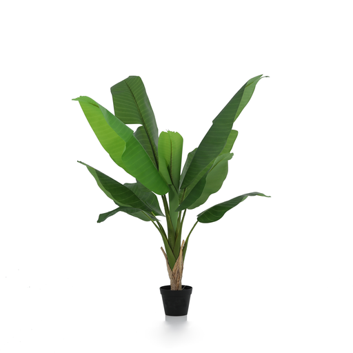 "Künstliche Bananenpflanze Musa - 120cm image"