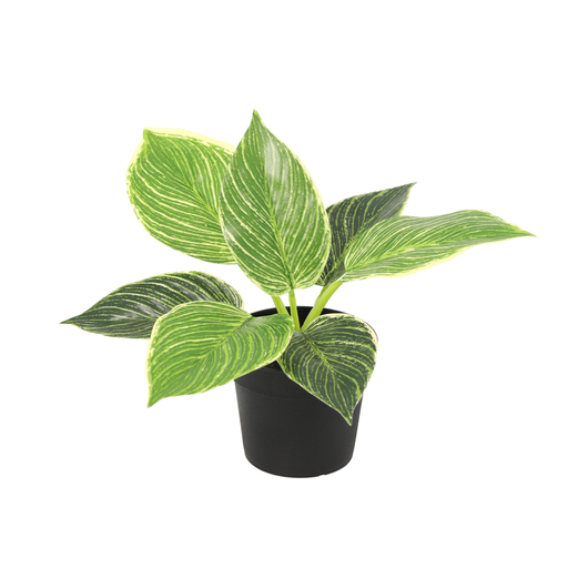 "Künstlicher Philodendron birkin - 20cm image"