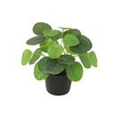 Künstliche Pilea peperomioides - 17,5cm