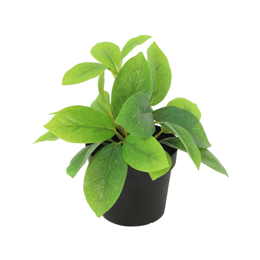 "Künstliche Hoya grün - 20cm image"