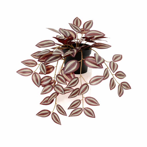"Künstliche Tradescantia - 32cm image"