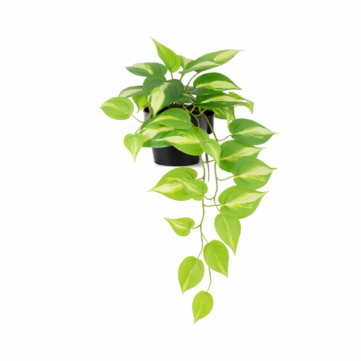 "Künstliche Epipremnum Variegata - 37cm image"