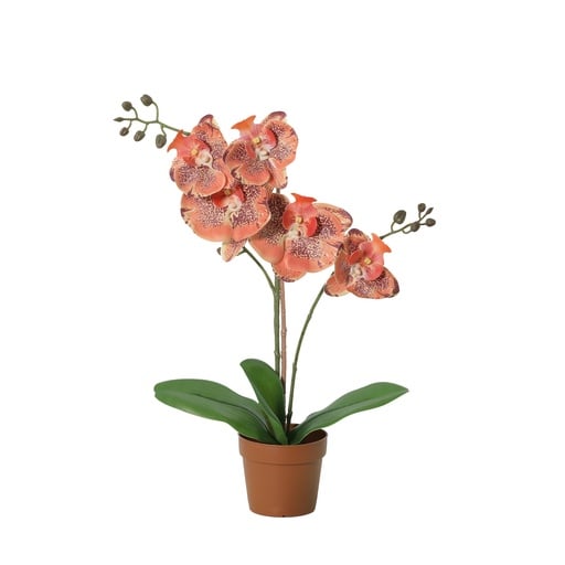 "Kunstpflanze Phalaenopsis-Orchidee orange - 41 cm image"