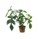Kunstpflanze Philodendron Florida - 44 cm