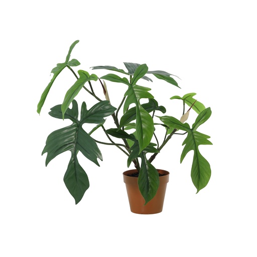 "Kunstpflanze Philodendron Florida - 44 cm image"